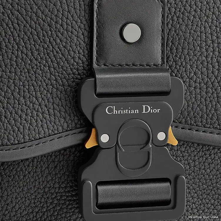 Cheap Grained Gallop Messenger Calfskin Black Dior 0611 Luxury